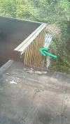 IMG-20250522-WA0001.webp