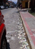 the value of FIAT monopoly money.GIF the value of FIAT monopoly money.GIF