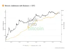 Look Into Bitcoin - Bitcoin Wallet Sizes _ 1 BTC.webp