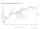 Look Into Bitcoin - Bitcoin Wallet Sizes _ 0.1 BTC.webp