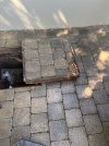 IMG_6835.jpeg