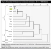 Voting patterns.webp Voting patterns.webp